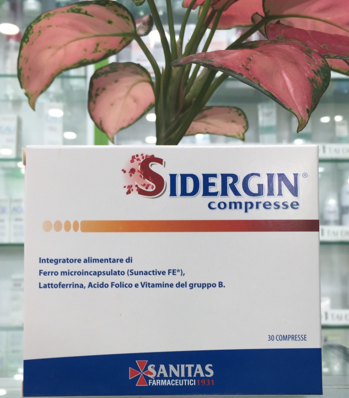 SIDERGIN Compresse